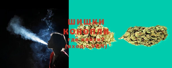 прущий лед Козельск