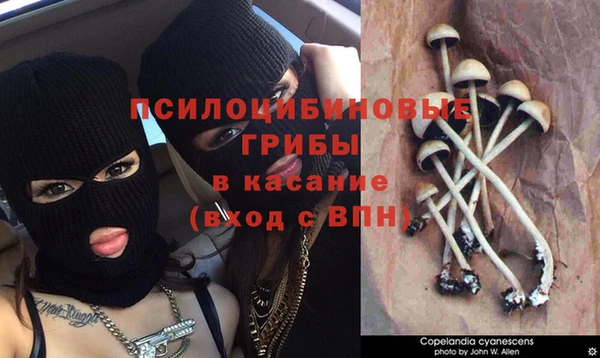стаф Коряжма
