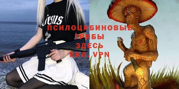 стаф Коряжма