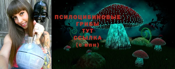 гашик Кодинск