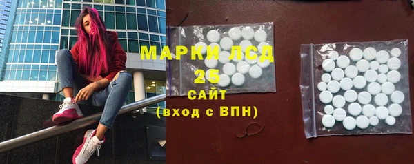 прущие грибы Козловка