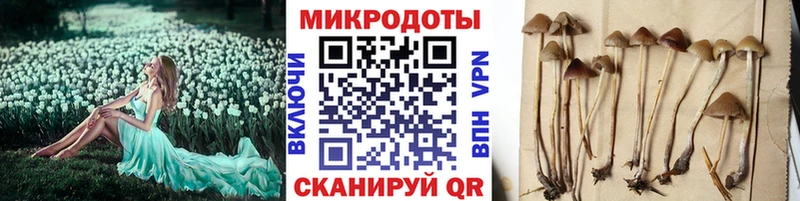 Купить где  Болгар  Псилоцибиновые грибы MAGIC MUSHROOMS 